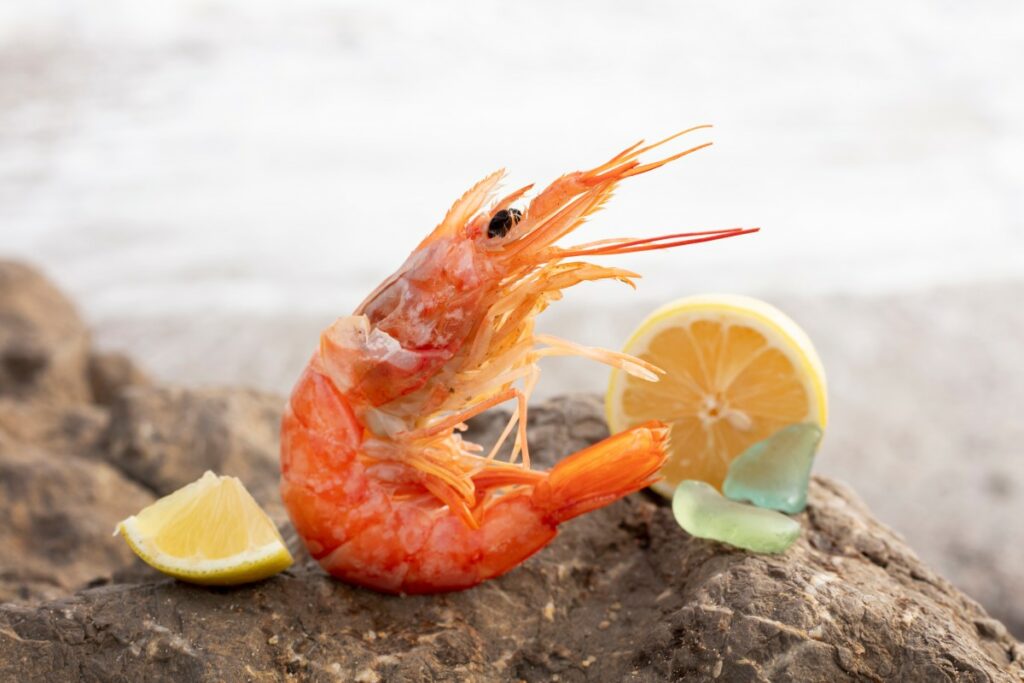 Aliquet et iaculis et viverra vitae ligula Close Up Delicious Spanish Food 4 1 1024x683