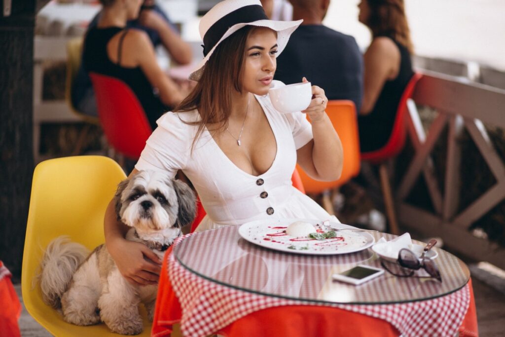 Aenean lectus elit fermentum non convallis Young Lady Bar With Cute Dog Having Lunch 1 1024x683